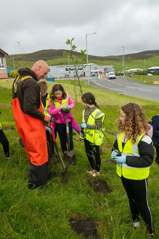Tree planting at Holmsgarth Brae with Bell's Brae School, Shetland Amenity Trust and Viking Energy Windfarm Project.