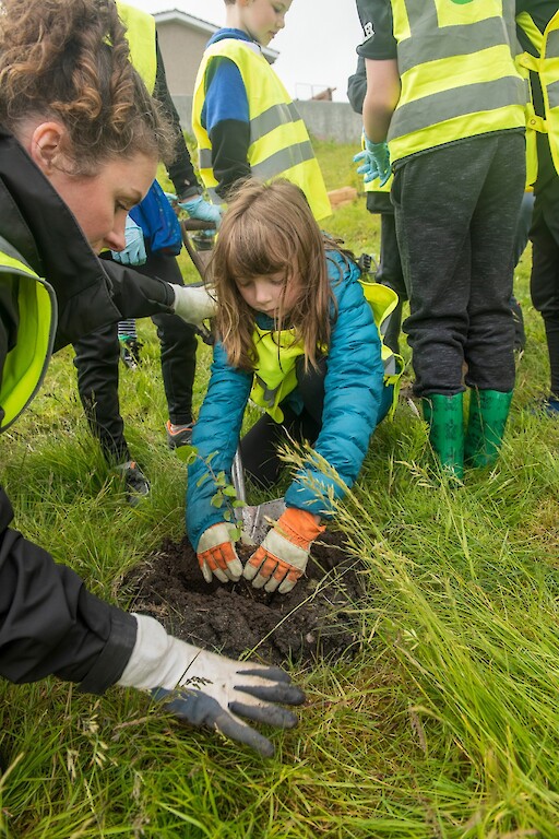 Tree planting at Holmsgarth Brae with Bell's Brae School, Shetland Amenity Trust and Viking Energy Windfarm Project.