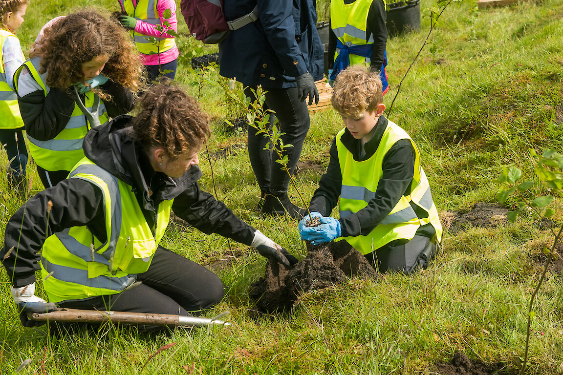 Tree planting at Holmsgarth Brae with Bell's Brae School, Shetland Amenity Trust and Viking Energy Windfarm Project.