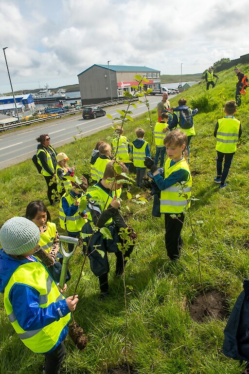 Tree planting at Holmsgarth Brae with Bell's Brae School, Shetland Amenity Trust and Viking Energy Windfarm Project.