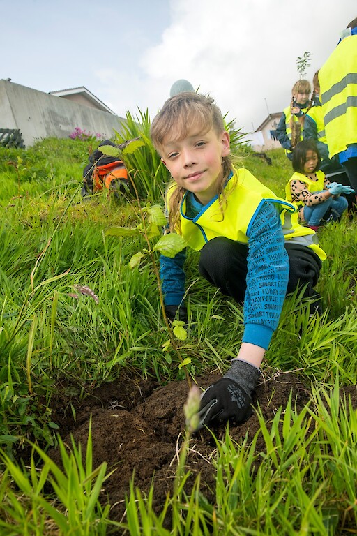 Tree planting at Holmsgarth Brae with Bell's Brae School, Shetland Amenity Trust and Viking Energy Windfarm Project.