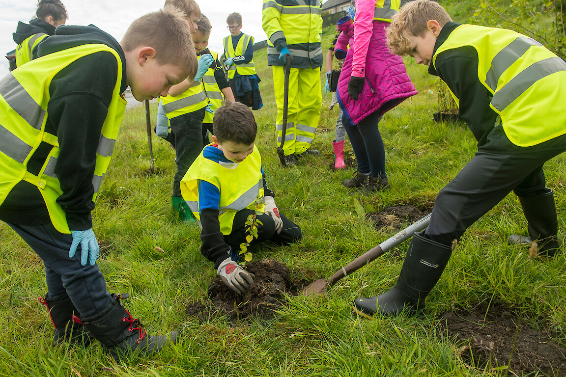 Tree planting at Holmsgarth Brae with Bell's Brae School, Shetland Amenity Trust and Viking Energy Windfarm Project.