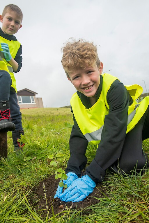 Tree planting at Holmsgarth Brae with Bell's Brae School, Shetland Amenity Trust and Viking Energy Windfarm Project.