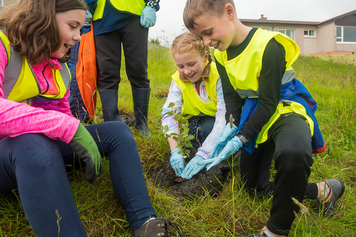 Tree planting at Holmsgarth Brae with Bell's Brae School, Shetland Amenity Trust and Viking Energy Windfarm Project.